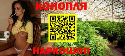 ГАЛЛЮЦИНОГЕННЫЕ ГРИБЫ Ставрополь