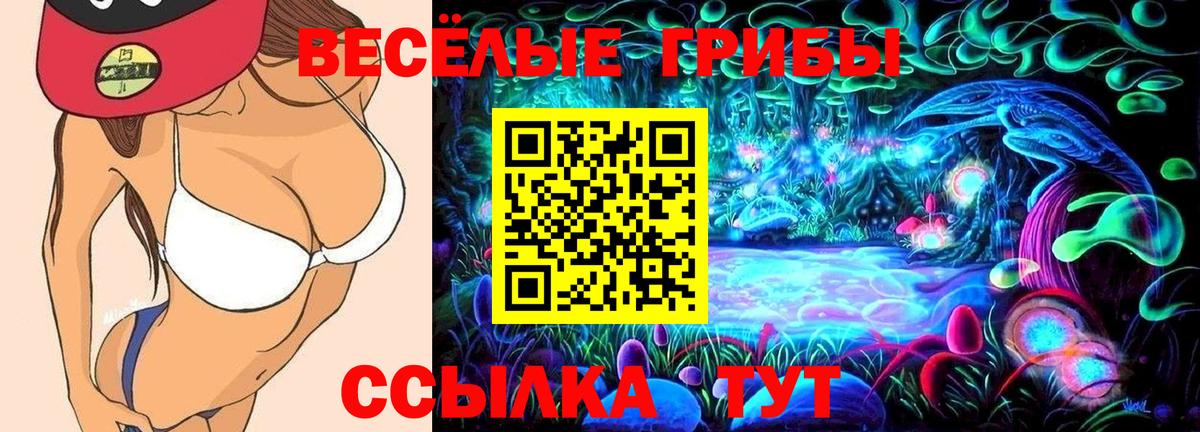 Галлюциногенные грибы мухоморы  Вход с VPN  Павлово 